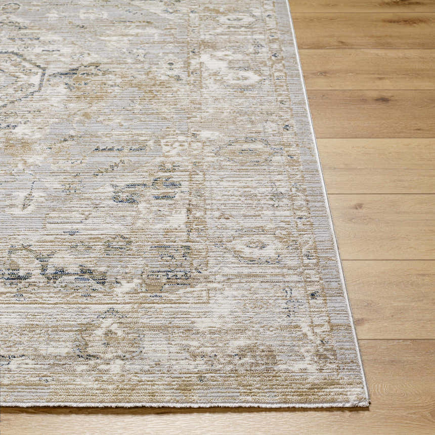 Close-up of the Gioia Area Rug showing its beige, bone, and blue traditional pattern and machine-woven texture. Front