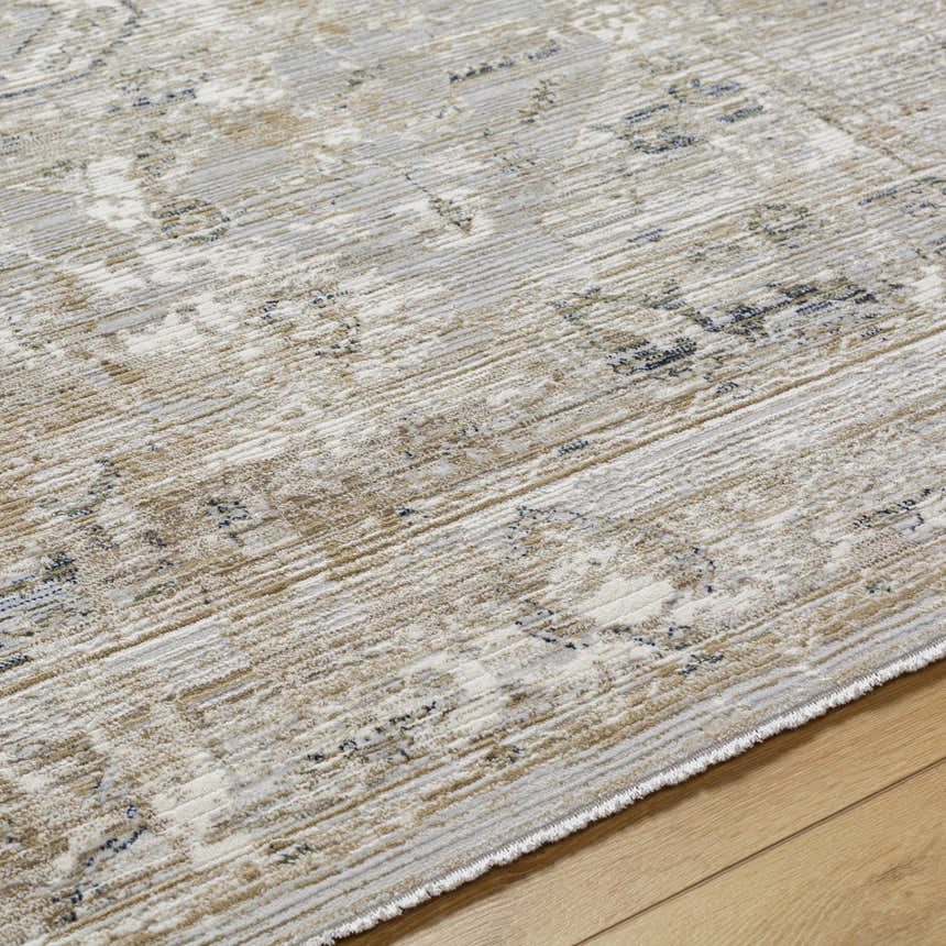 Close-up of the Gioia Area Rug. Beige and bone colors with a traditional, distressed pattern and subtle texture. Texture