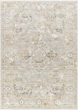 Close-up of Gioia Area Rug. Beige, bone, and blue traditional rug with a distressed, vintage-inspired pattern. Design-Rectangle-537