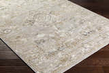 Close-up of the Gioia Area Rug. Beige and bone farmhouse style rug with a traditional, distressed pattern. Corner
