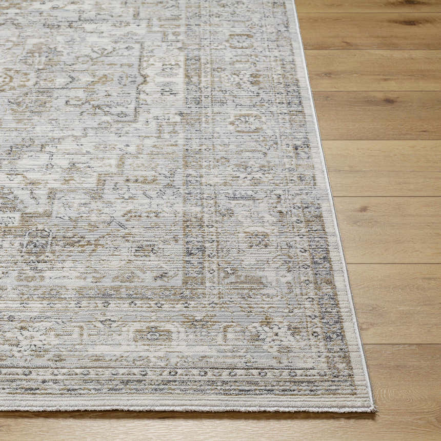 Close-up of the Kazou Gray Medallion Area Rug showing its farmhouse style, light gray, natural gray colors, and machine-woven texture. Front