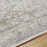Close-up of the Kazou Gray Medallion Area Rug showing its light gray, natural gray colors and traditional medallion pattern. Texture
