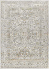 Close-up of the Kazou Gray Medallion Area Rug, showcasing its light gray, natural gray colors and traditional medallion pattern. Design-Rectangle-537