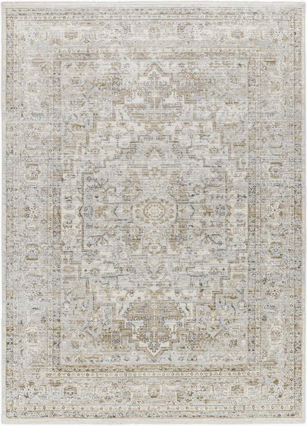 Close-up of the Kazou Gray Medallion Area Rug, showcasing its light gray, natural gray colors and traditional medallion pattern. Design-Rectangle-537