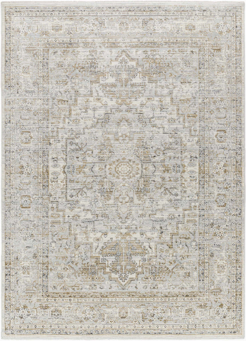 Close-up of the Kazou Gray Medallion Area Rug, showcasing its light gray, natural gray colors and traditional medallion pattern. Design-Rectangle-537