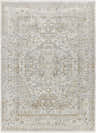 Close-up of the Kazou Gray Medallion Area Rug, showcasing its light gray, natural gray colors and traditional medallion pattern. Design-Rectangle-537