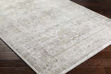 Close-up of the Kazou Gray Medallion Area Rug showing its light gray, natural gray colors and traditional medallion pattern. Corner