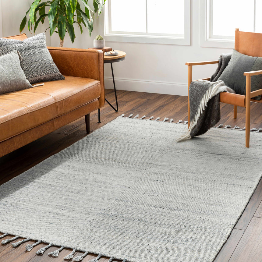 Anaya Beige & Blue Area Rug - Clearance