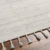 Anaya Beige & Blue Area Rug - Clearance