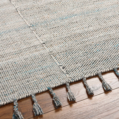 Anaya Beige & Teal Area Rug