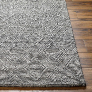 Kasib Dark Gray Hand Woven Area Rug