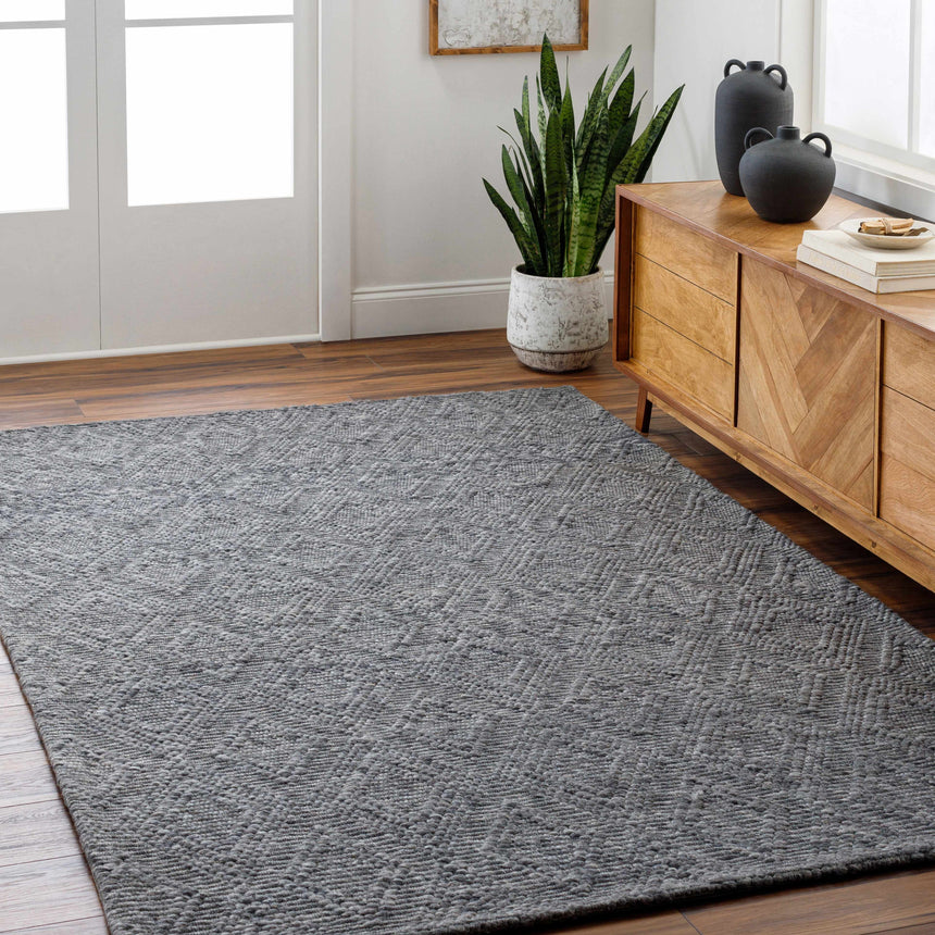 Kasib Dark Gray Hand Woven Area Rug - Clearance