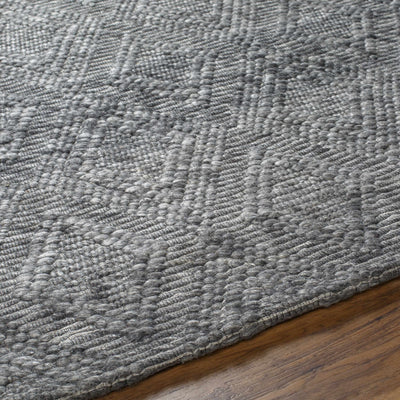 Kasib Dark Gray Hand Woven Area Rug