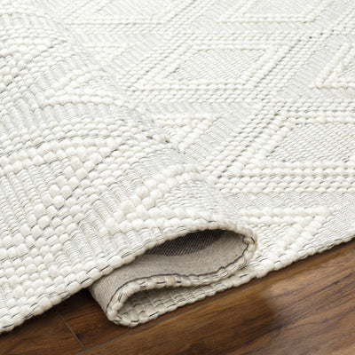 Kasib Cream Hand Woven Area Rug