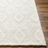 Kasib Cream Hand Woven Area Rug - Clearance