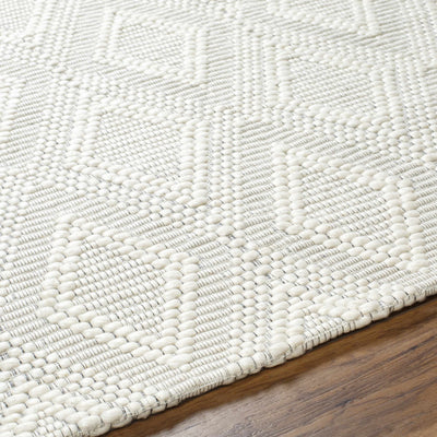 Kasib Cream Hand Woven Area Rug