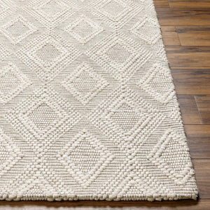 Kasib Beige Hand Woven Area Rug