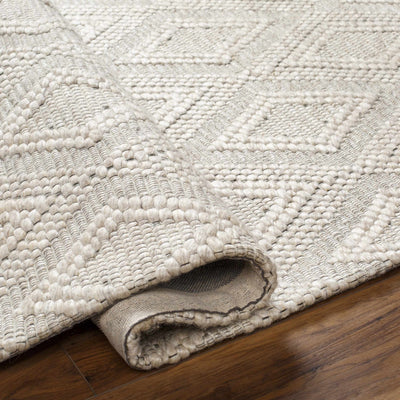 Kasib Beige Hand Woven Area Rug