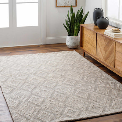 Kasib Beige Hand Woven Area Rug