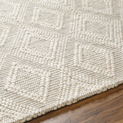 Kasib Beige Hand Woven Area Rug