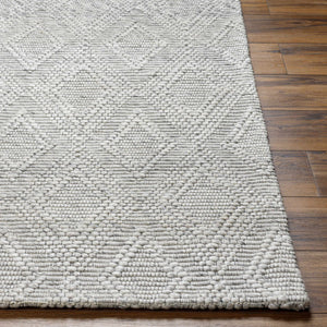 Kasib Gray Hand Woven Area Rug