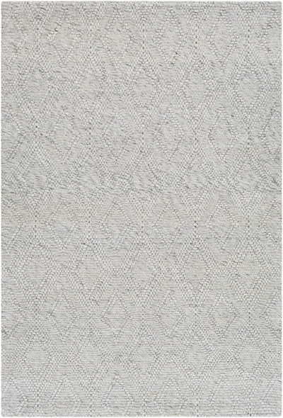 Kasib Gray Hand Woven Area Rug