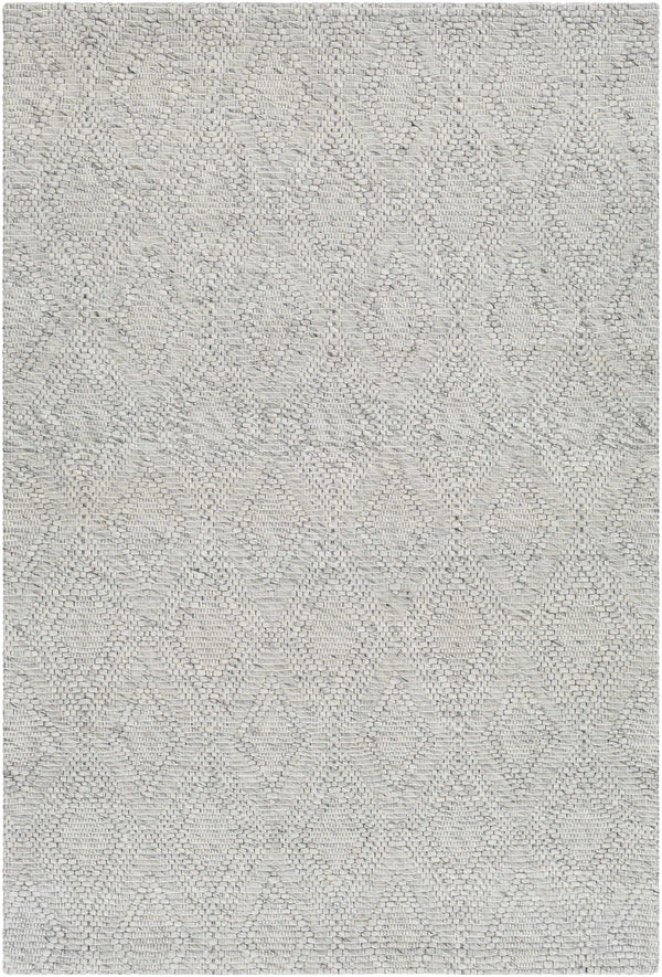 Kasib Gray Hand Woven Area Rug