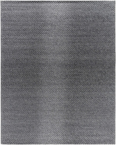 Kassa Dark Gray Hand Woven Area Rug