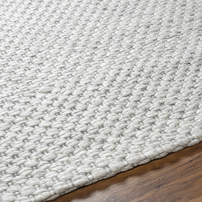 Kassa Gray Hand Woven Area Rug