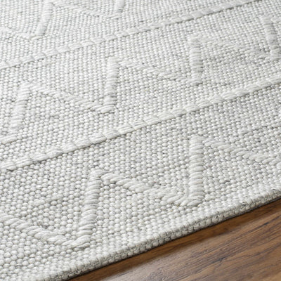 Kyung Gray Area Rug