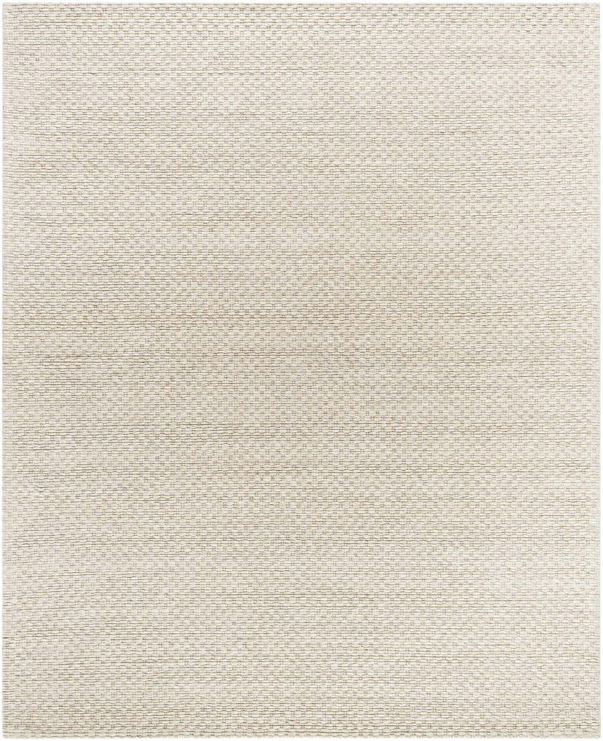Close-up of the Laleh Cream Area Rug showing its woven texture and neutral beige and rose cream colors. Design-Rectangle-810