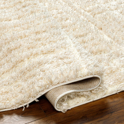 Arich Beige Plush Area Rug