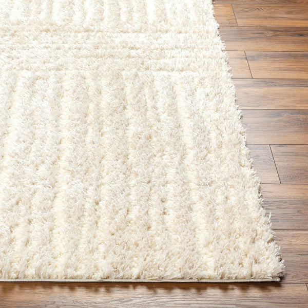 Arich Beige Plush Area Rug