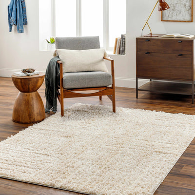 Arich Beige Plush Area Rug