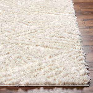 Aysun Beige Plush Area Rug