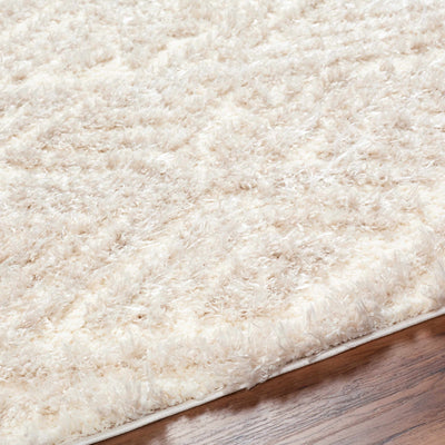 Aysun Beige Plush Area Rug