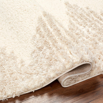 Bayan Beige Plush Area Rug