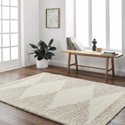 Bayan Beige Plush Area Rug