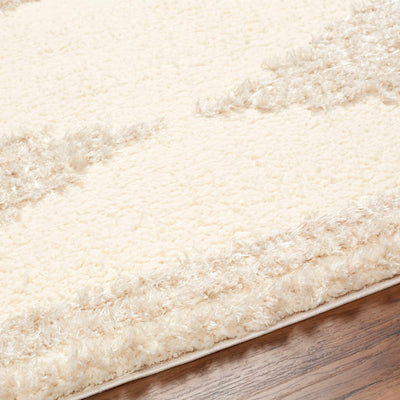 Bayan Beige Plush Area Rug