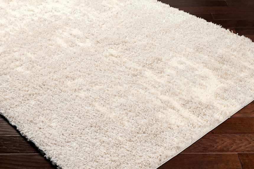 Edzia Beige Plush Area Rug - Clearance