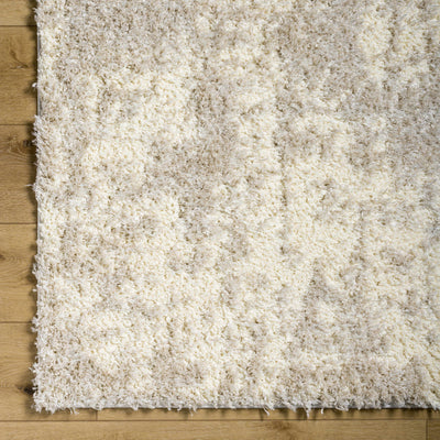 Edzia Beige Plush Area Rug