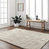 Edzia Beige Plush Area Rug - Clearance