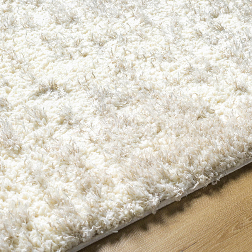 Edzia Beige Plush Area Rug - Clearance