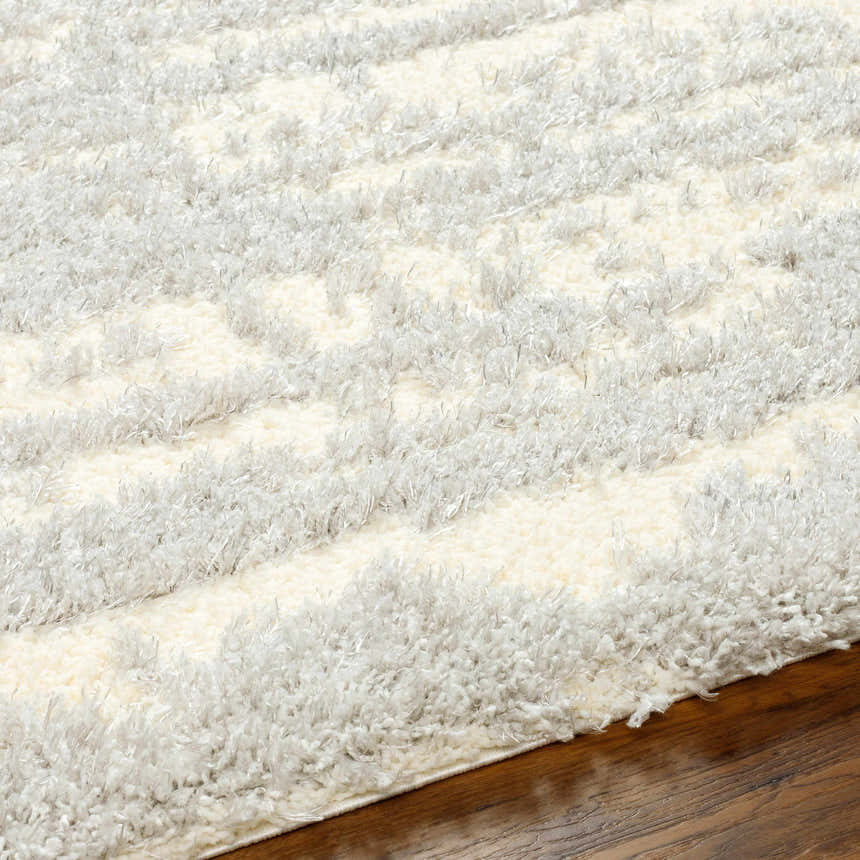 Close-up of the Gidja Gray Plush Area Rug showing the soft shag texture and beige and gray striped pattern. Texture