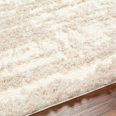 Gidja Beige Plush Area Rug