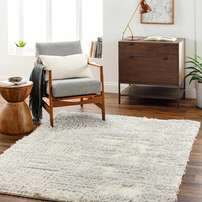 Iduia Gray Plush Area Rug