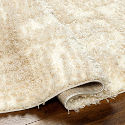 Iduia Beige Plush Area Rug