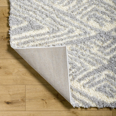 Ioana Gray Plush Area Rug