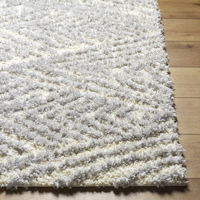 Ioana Gray Plush Area Rug