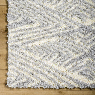 Ioana Gray Plush Area Rug